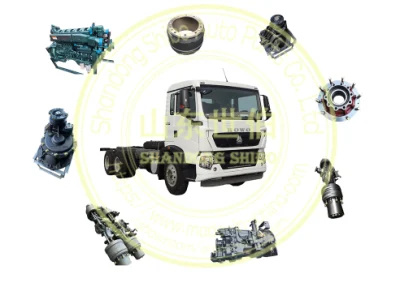 Sinotruk HOWO Shacman FAW Beiben Hongyan Tractor/ Garbage/Duty Dump/Tipper/Tractor Truck Auto Parts Truck